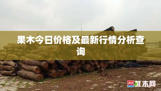 果木今日价格及最新行情分析查询