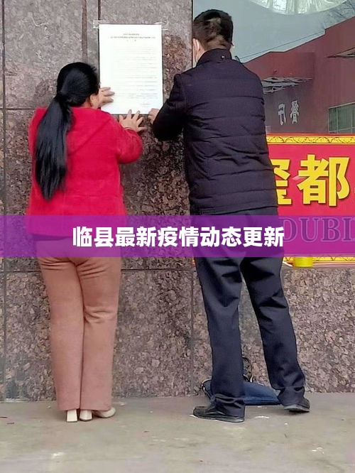 临县最新疫情动态更新