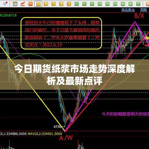 今日期货纸浆市场走势深度解析及最新点评