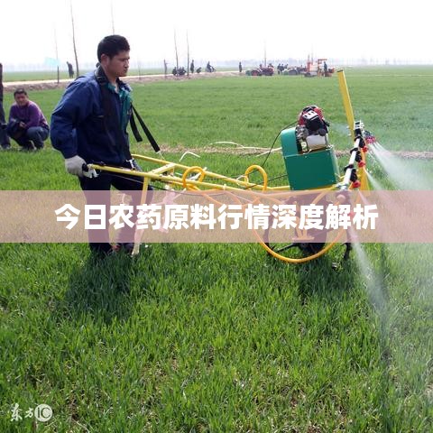 今日农药原料行情深度解析