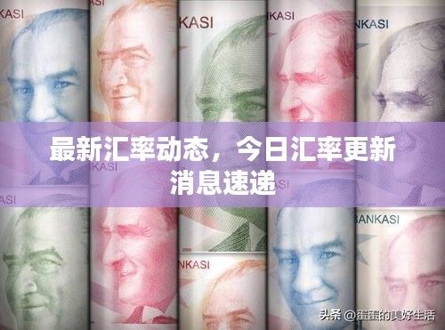 最新汇率动态，今日汇率更新消息速递