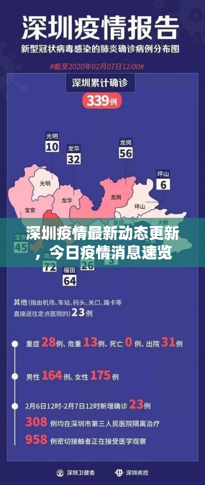 深圳疫情最新动态更新，今日疫情消息速览
