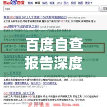 百度自查报告深度解析，优化策略与关键成果总结