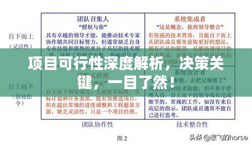 项目可行性深度解析，决策关键，一目了然！