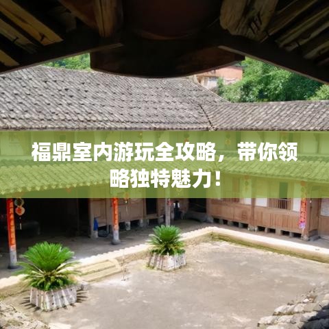 福鼎室内游玩全攻略，带你领略独特魅力！
