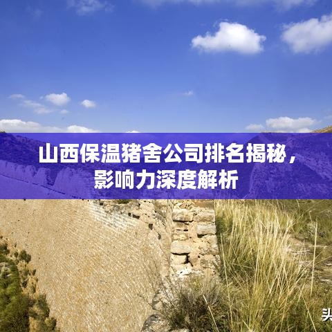山西保温猪舍公司排名揭秘，影响力深度解析