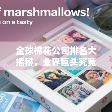 全球棉花公司排名大揭秘，业界巨头究竟是谁？
