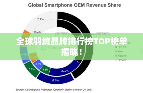 全球羽绒品牌排行榜TOP榜单揭晓！