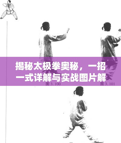 揭秘太极拳奥秘，一招一式详解与实战图片解析