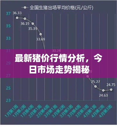 最新猪价行情分析，今日市场走势揭秘