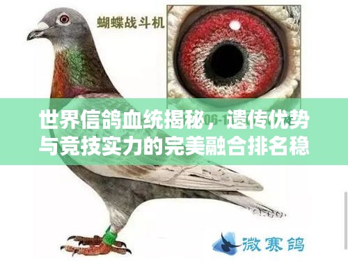 伤弓之鸟 第2页