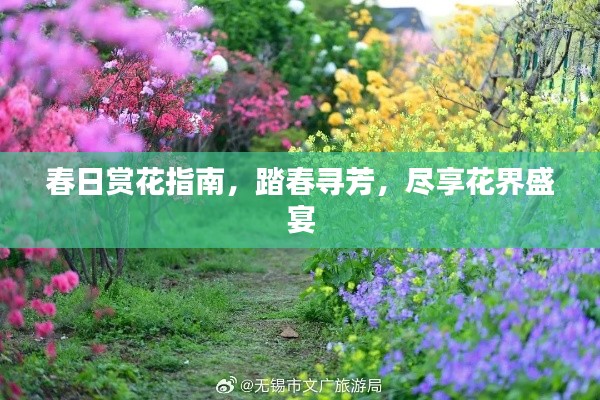 春日赏花指南，踏春寻芳，尽享花界盛宴