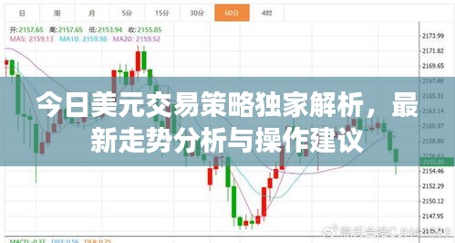 今日美元交易策略独家解析，最新走势分析与操作建议