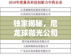 独家揭秘，尼龙球抛光公司排行榜，权威榜单不容错过！