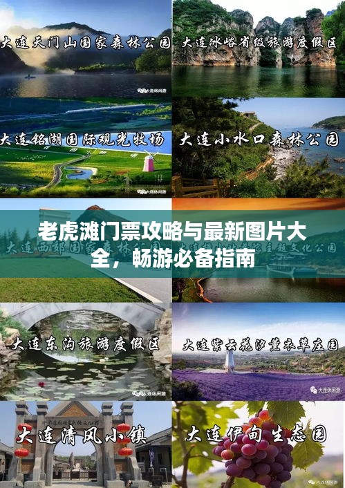 老虎滩门票攻略与最新图片大全，畅游必备指南