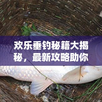 欢乐垂钓秘籍大揭秘，最新攻略助你轻松掌握垂钓技巧，尽享垂钓乐趣！