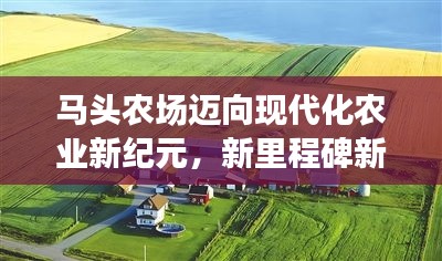 马头农场迈向现代化农业新纪元，新里程碑新闻头条