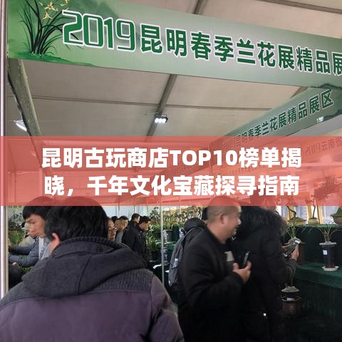 昆明古玩商店TOP10榜单揭晓，千年文化宝藏探寻指南