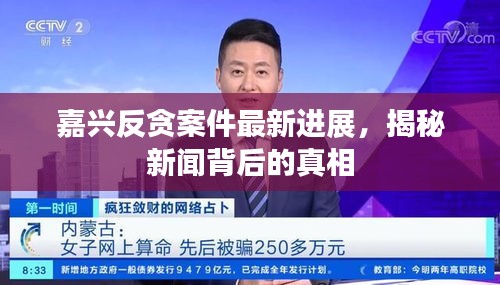 嘉兴反贪案件最新进展，揭秘新闻背后的真相