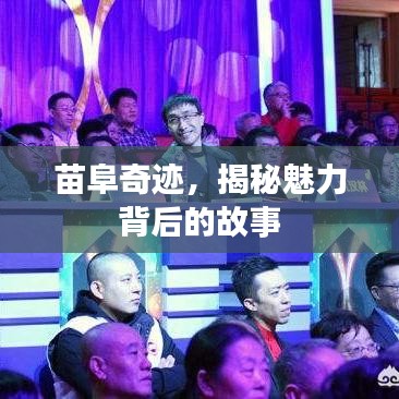 苗阜奇迹，揭秘魅力背后的故事