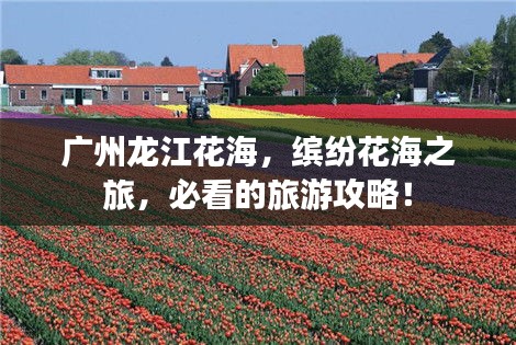 广州龙江花海，缤纷花海之旅，必看的旅游攻略！