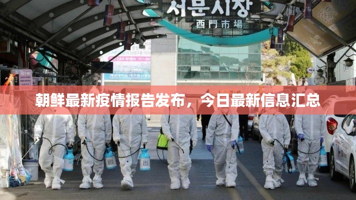 朝鲜最新疫情报告发布，今日最新信息汇总