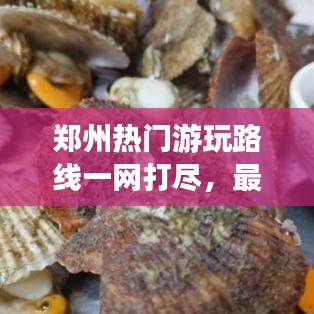郑州热门游玩路线一网打尽，最新各区攻略大全