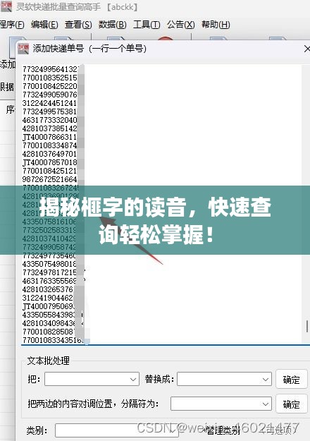 揭秘榧字的读音，快速查询轻松掌握！