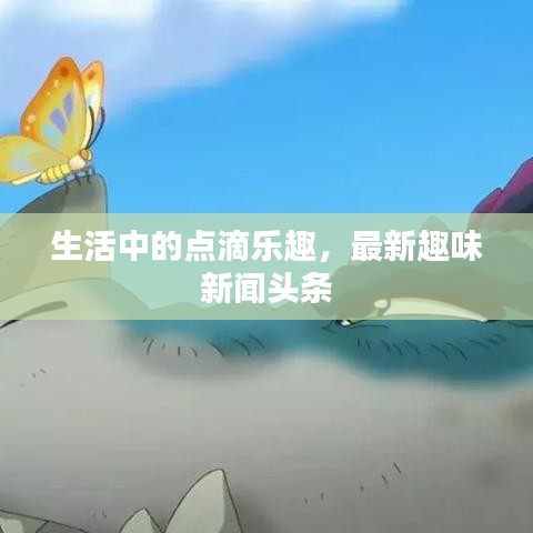 生活中的点滴乐趣，最新趣味新闻头条