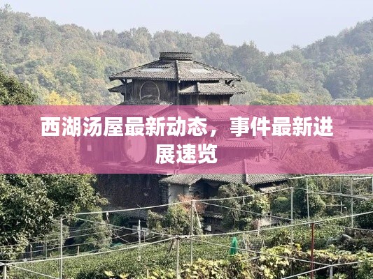 西湖汤屋最新动态，事件最新进展速览