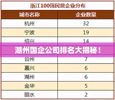 湖州国企公司排名大揭秘！