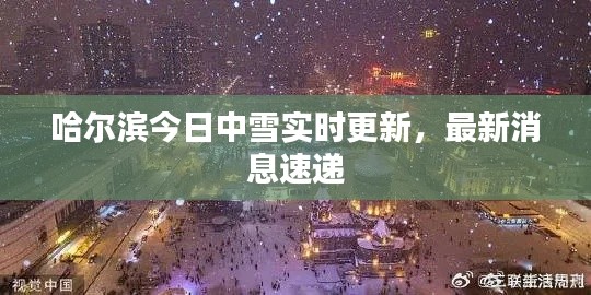 哈尔滨今日中雪实时更新，最新消息速递