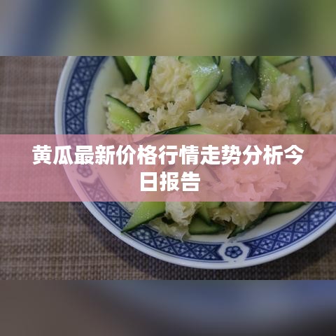 黄瓜最新价格行情走势分析今日报告