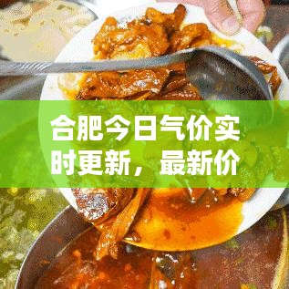 合肥今日气价实时更新，最新价格动态与深度分析