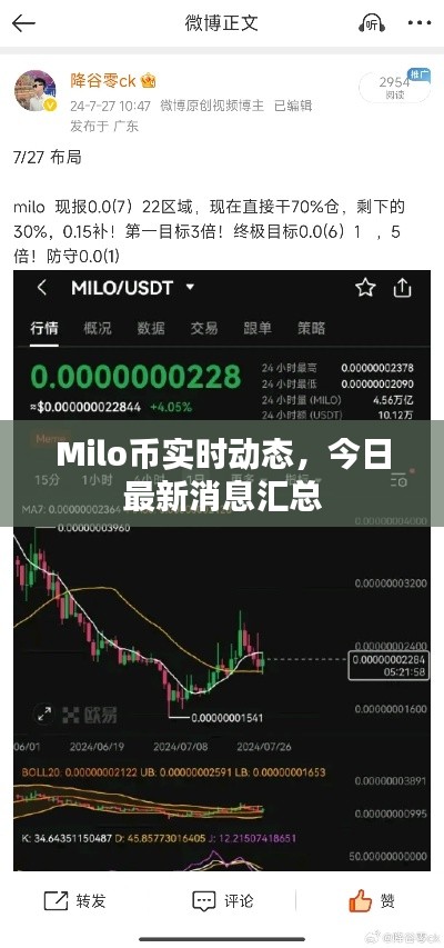Milo币实时动态，今日最新消息汇总