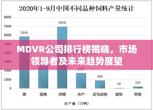 MDVR公司排行榜揭晓，市场领导者及未来趋势展望