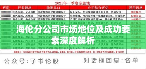 海伦分公司市场地位及成功要素深度解析