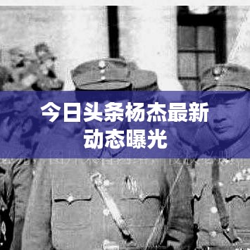 今日头条杨杰最新动态曝光