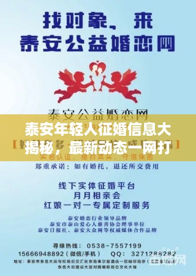 泰安年轻人征婚信息大揭秘，最新动态一网打尽！