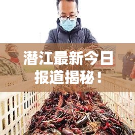 潜江最新今日报道揭秘！
