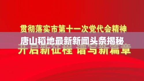 唐山稻地最新新闻头条揭秘