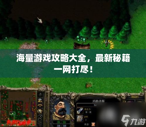 海量游戏攻略大全，最新秘籍一网打尽！