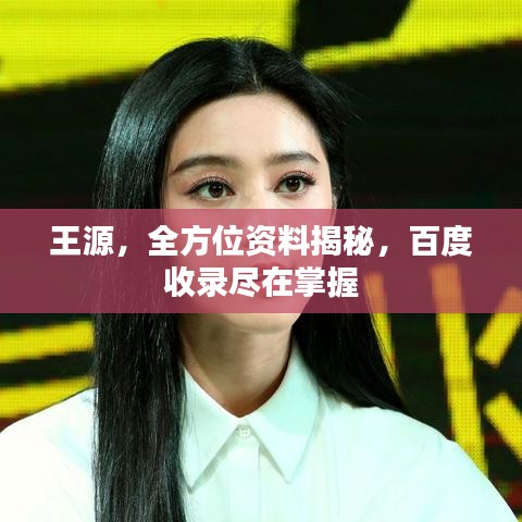 王源，全方位资料揭秘，百度收录尽在掌握