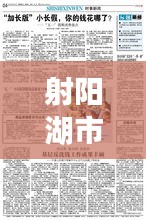 射阳湖市今日新闻热点一网打尽，最新消息综述