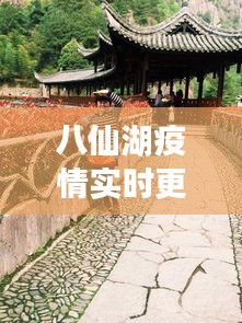 八仙湖疫情实时更新，最新动态今日揭晓