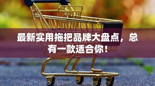 最新实用拖把品牌大盘点，总有一款适合你！