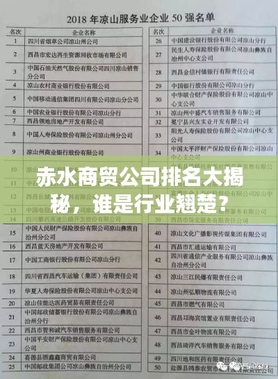 赤水商贸公司排名大揭秘，谁是行业翘楚？