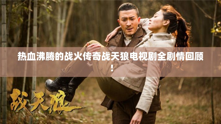 热血沸腾的战火传奇战天狼电视剧全剧情回顾！