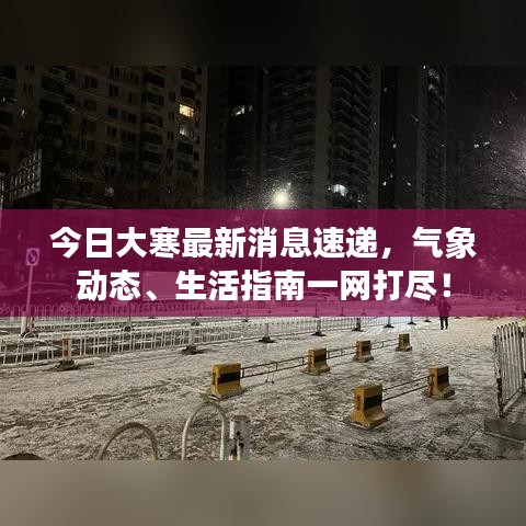 今日大寒最新消息速递，气象动态、生活指南一网打尽！