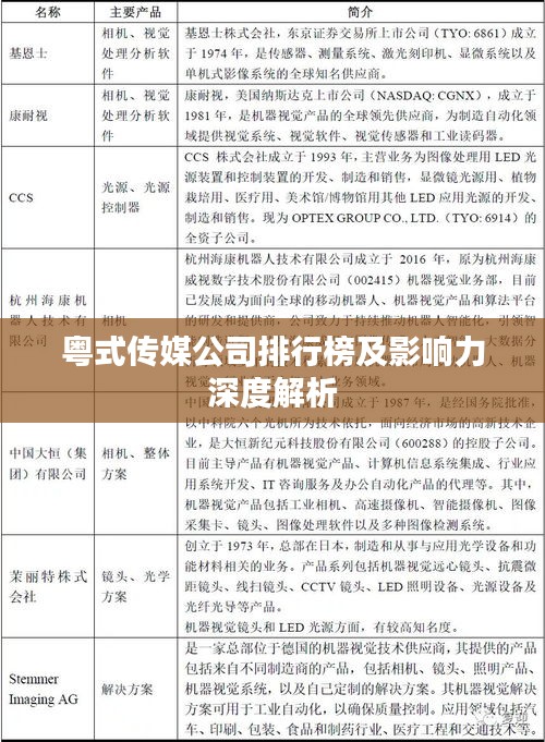 粤式传媒公司排行榜及影响力深度解析